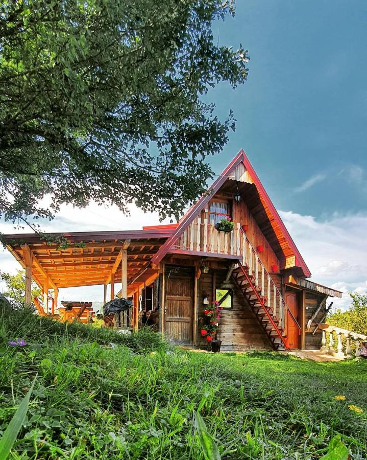 Log Cabin Uvac Nova Varoš Екстериор снимка