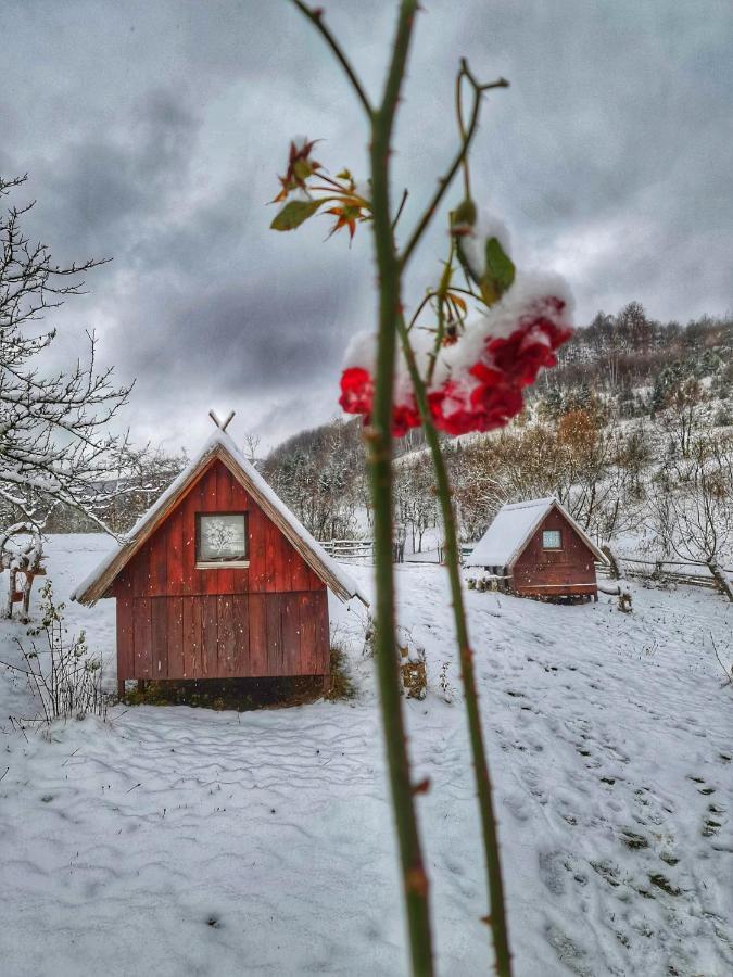 Log Cabin Uvac Nova Varoš Екстериор снимка