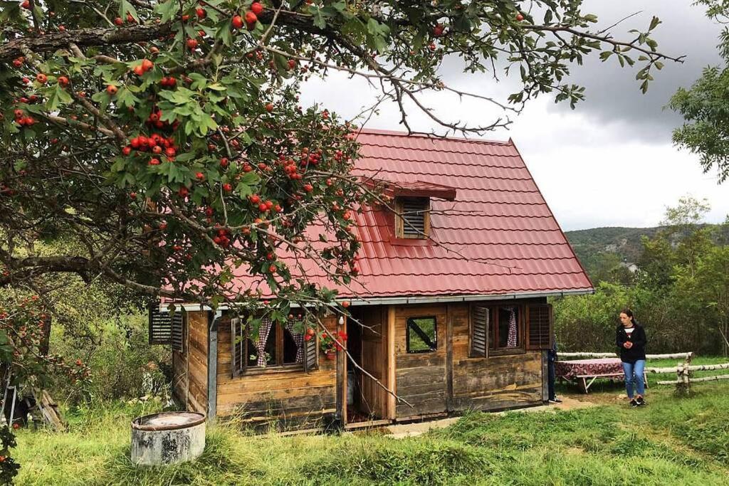 Log Cabin Uvac Nova Varoš Екстериор снимка